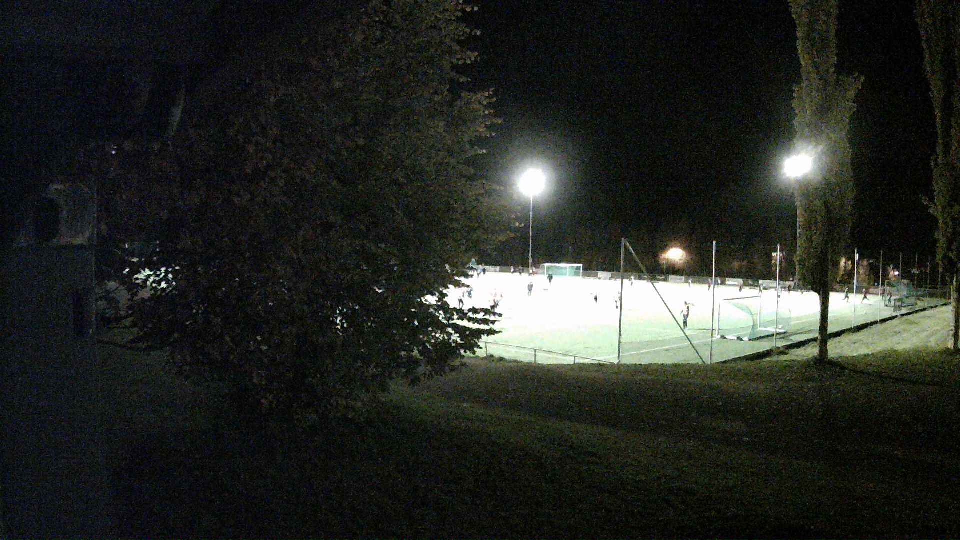 Stampesletta